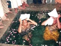 देवझूलनी एकादशी का जलाभिषेक